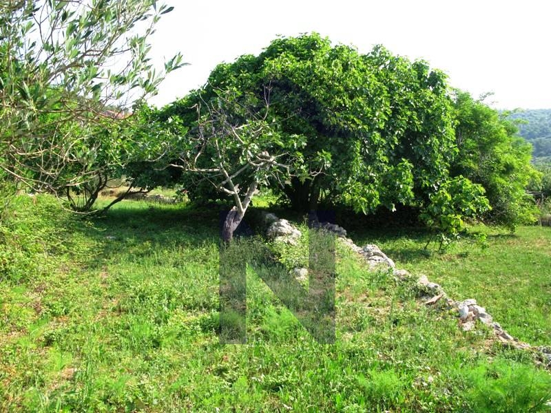 PRODAJA-ZEMLJIŠTE-KORČULA-VELA LUKA-građevinsko