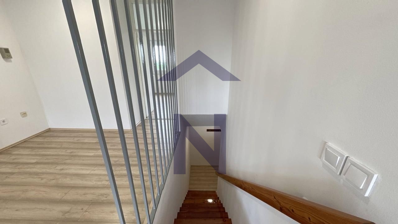 More photos