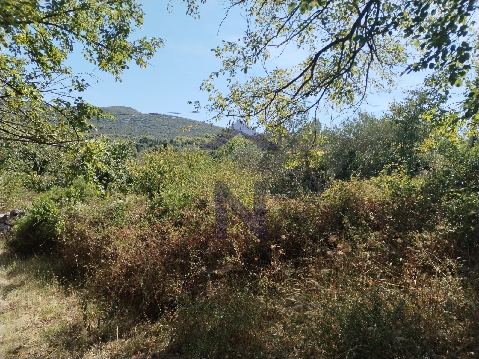 Property thumbnail 2