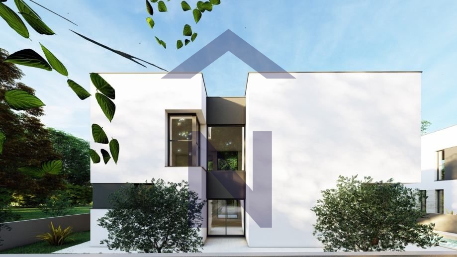 More photos