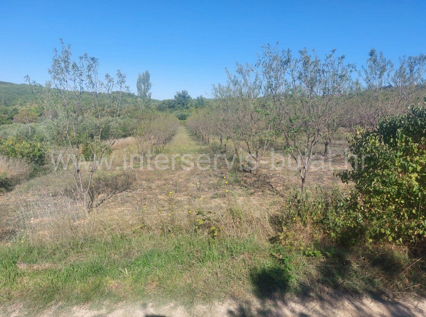 Property thumbnail 3
