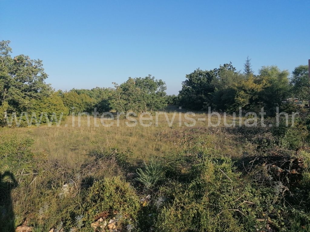 Property thumbnail 4