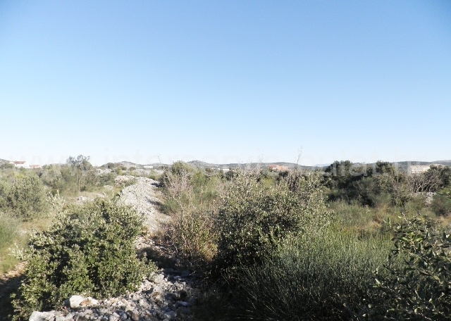 Property thumbnail 3