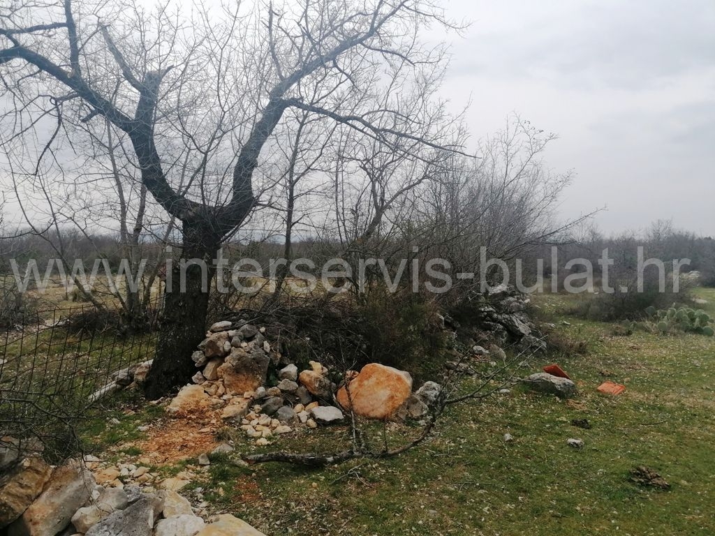 Property thumbnail 3