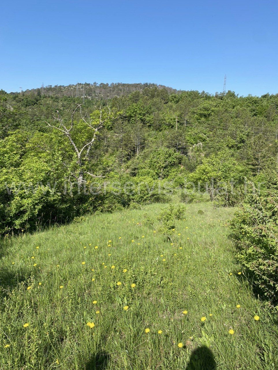 Property thumbnail 4