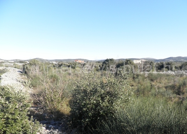 Property thumbnail 2