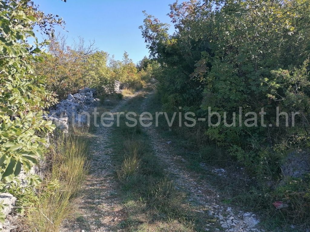 Property thumbnail 3