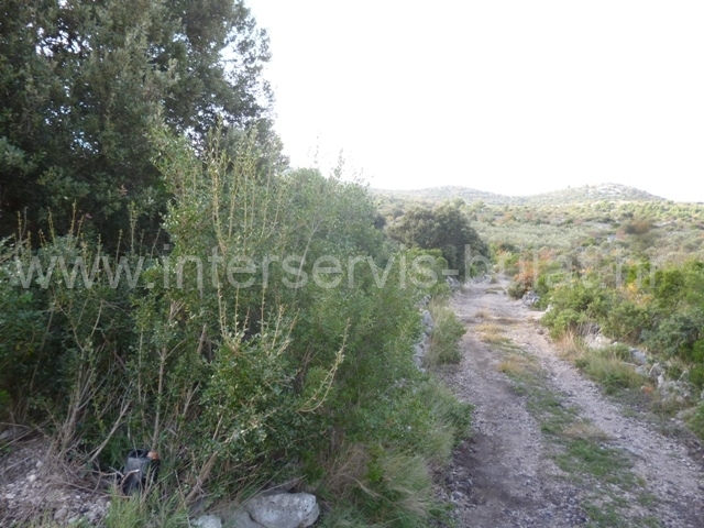 Property thumbnail 3