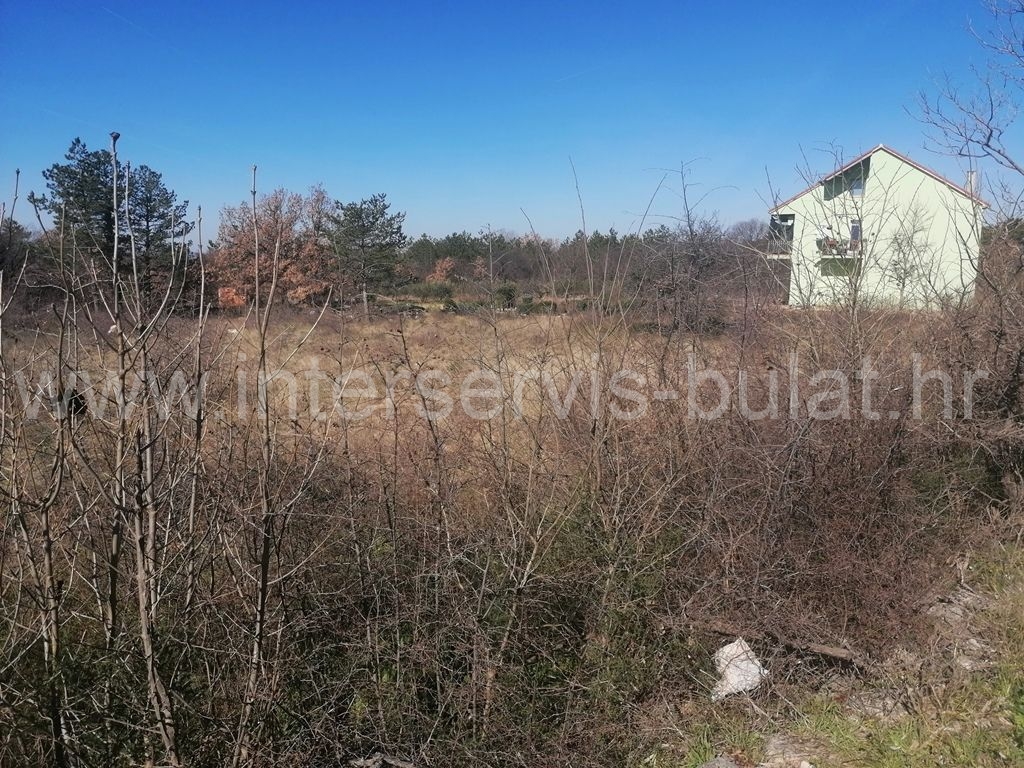 More photos