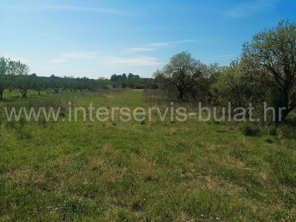 Property thumbnail 4