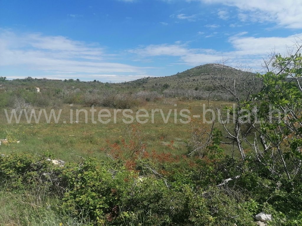 Property thumbnail 3