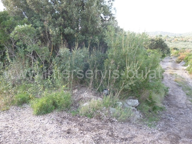 Property thumbnail 4