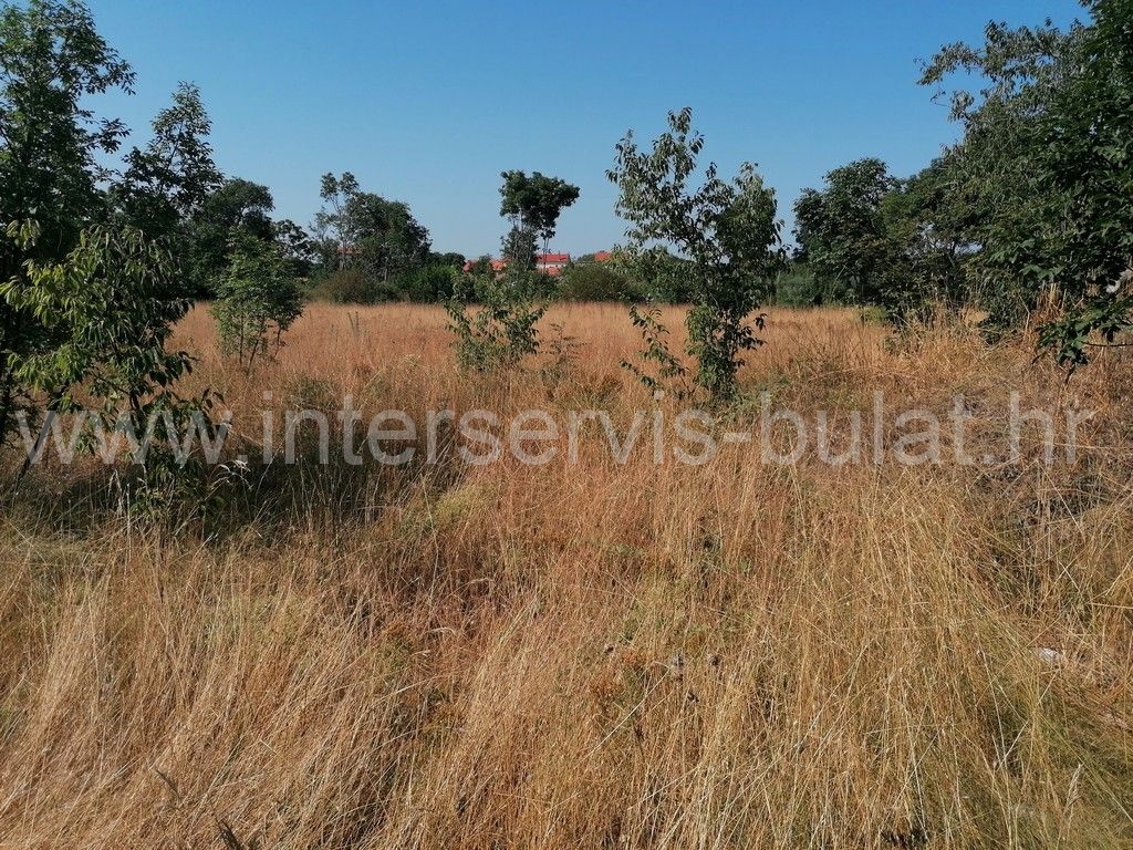 Property thumbnail 4