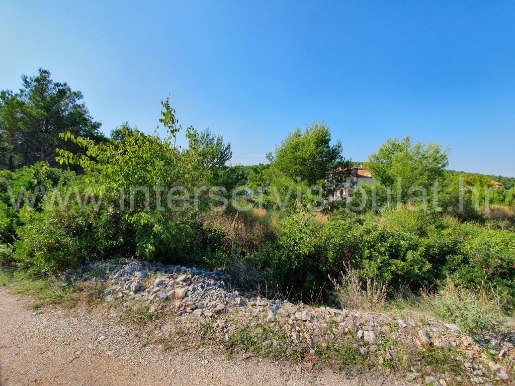 More photos