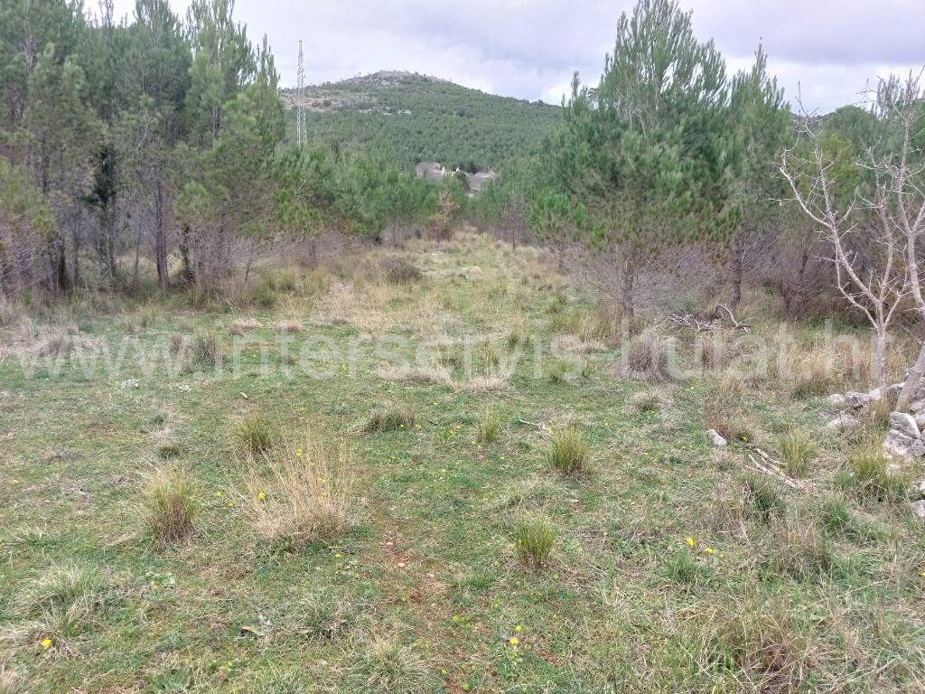 Property thumbnail 3