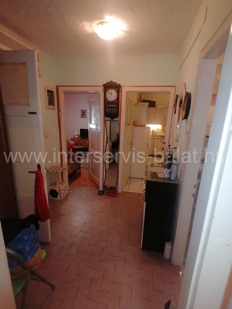 More photos
