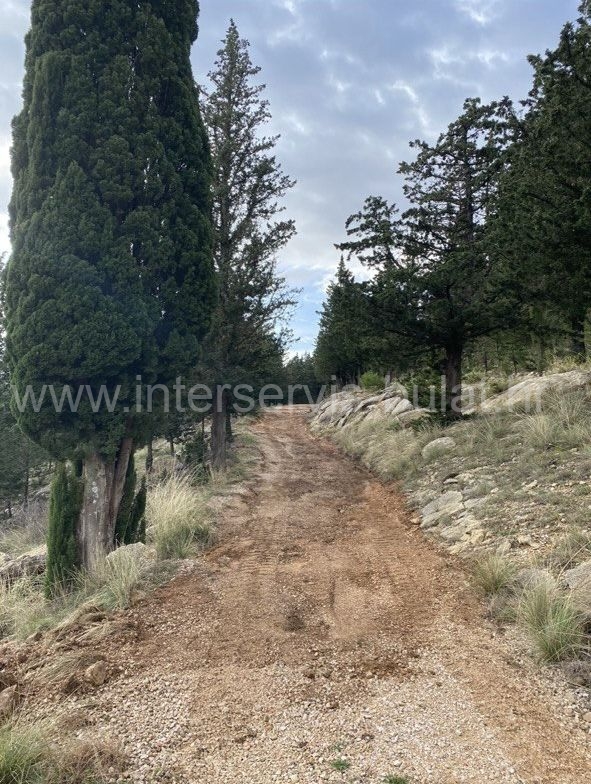 Property thumbnail 3