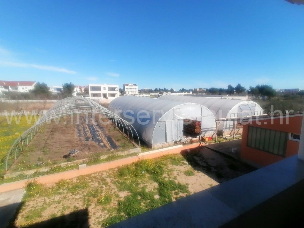 More photos