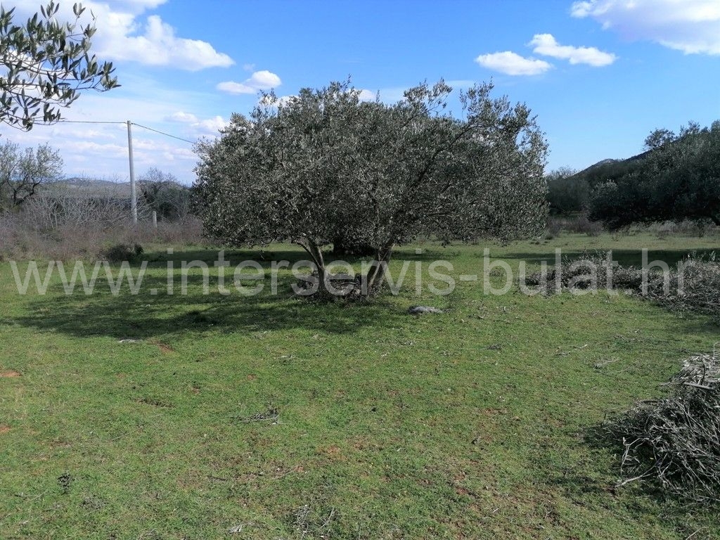 Property thumbnail 4