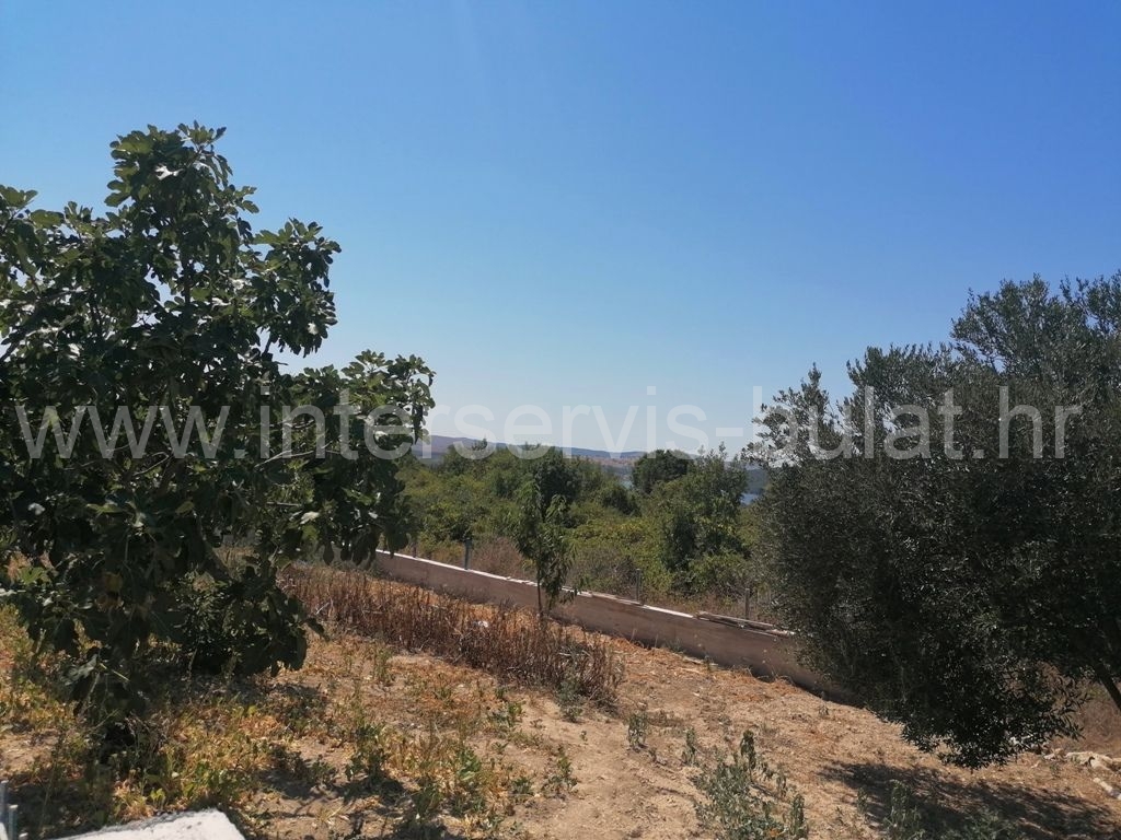 Property thumbnail 3