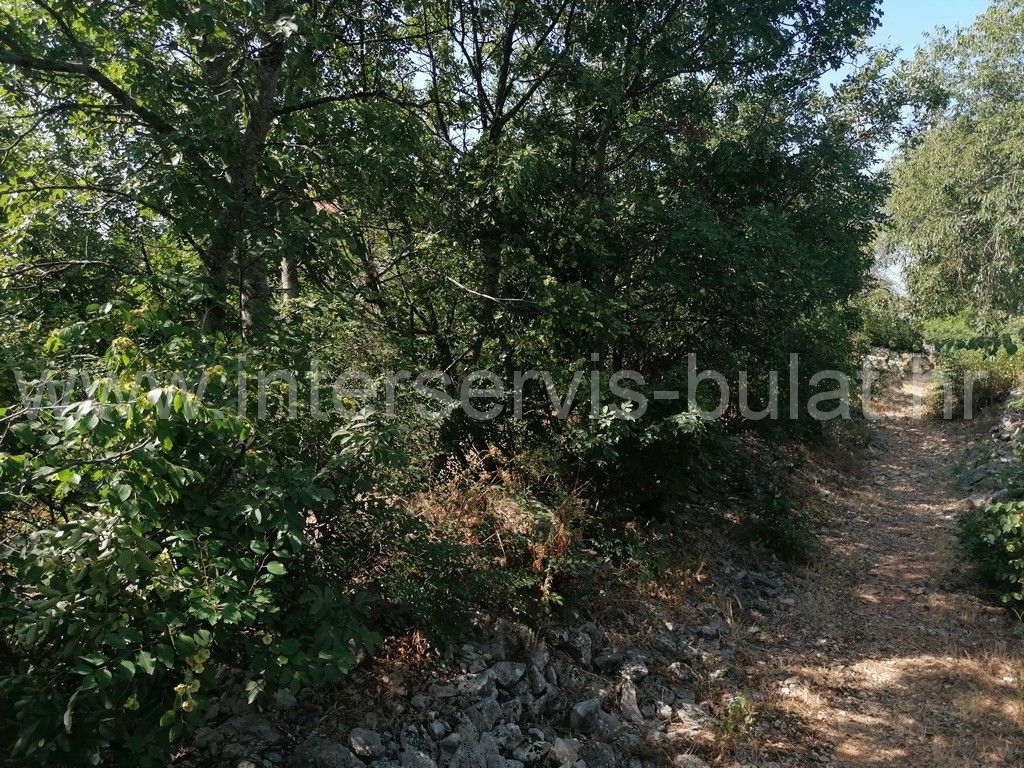 Property thumbnail 4