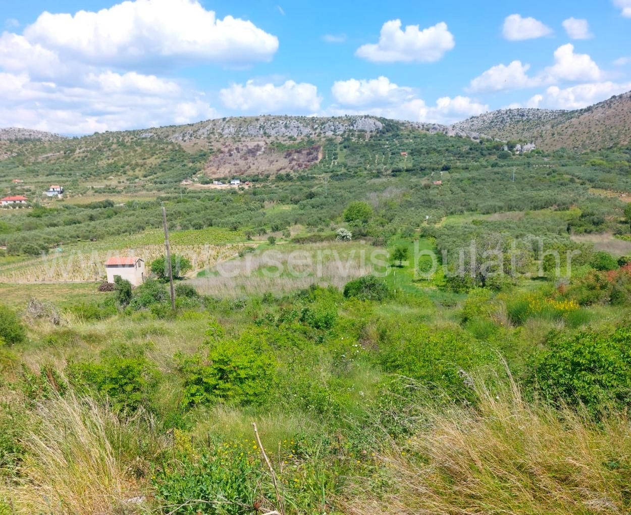 Property thumbnail 2
