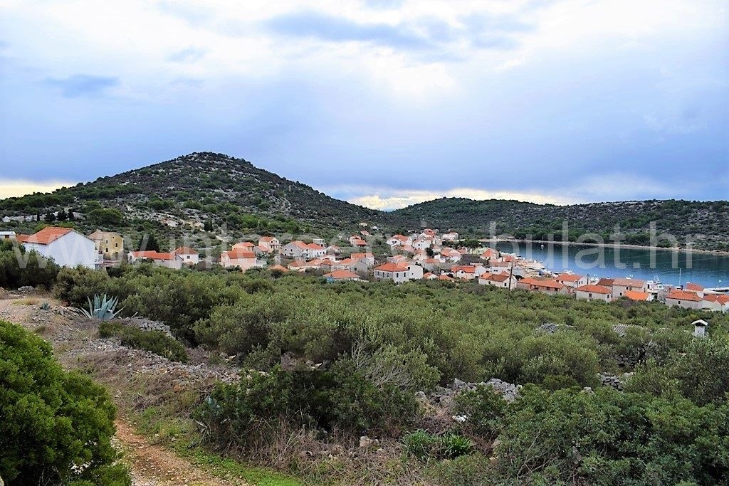 Property thumbnail 3