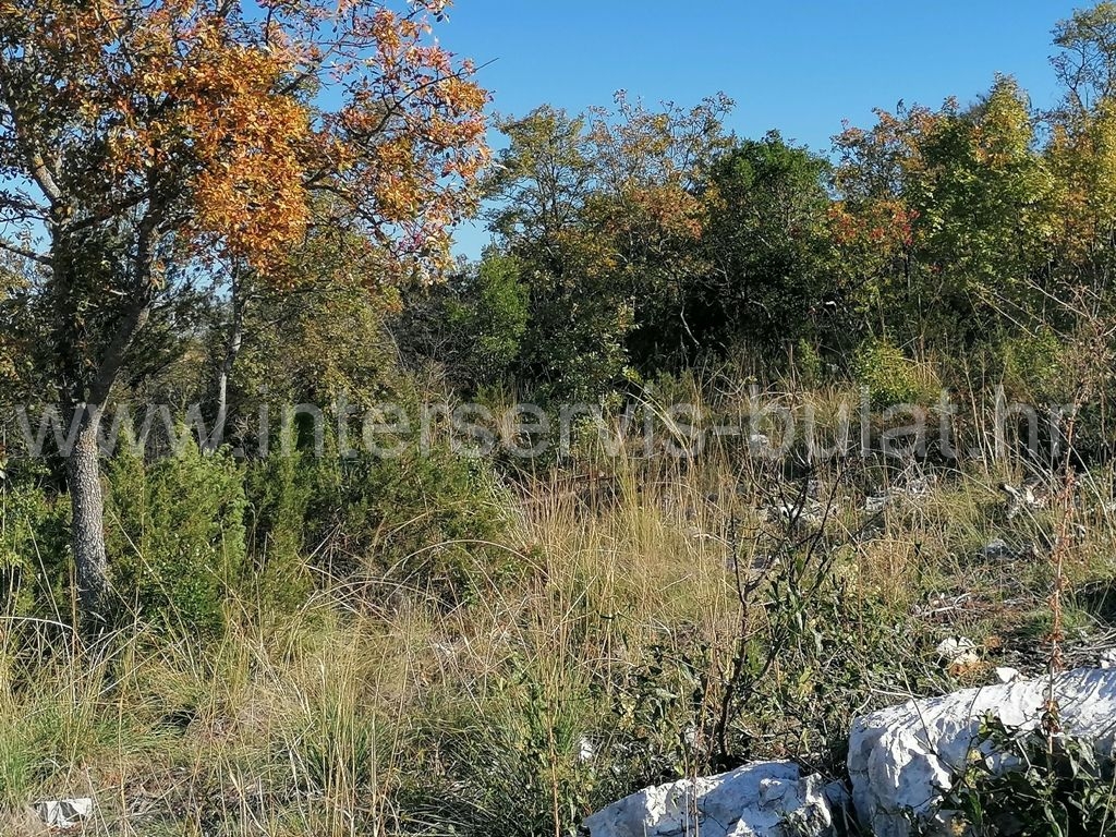 More photos