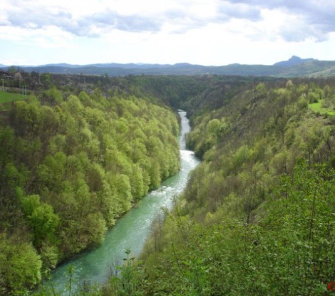 Šuma sa šumskim zemljištem