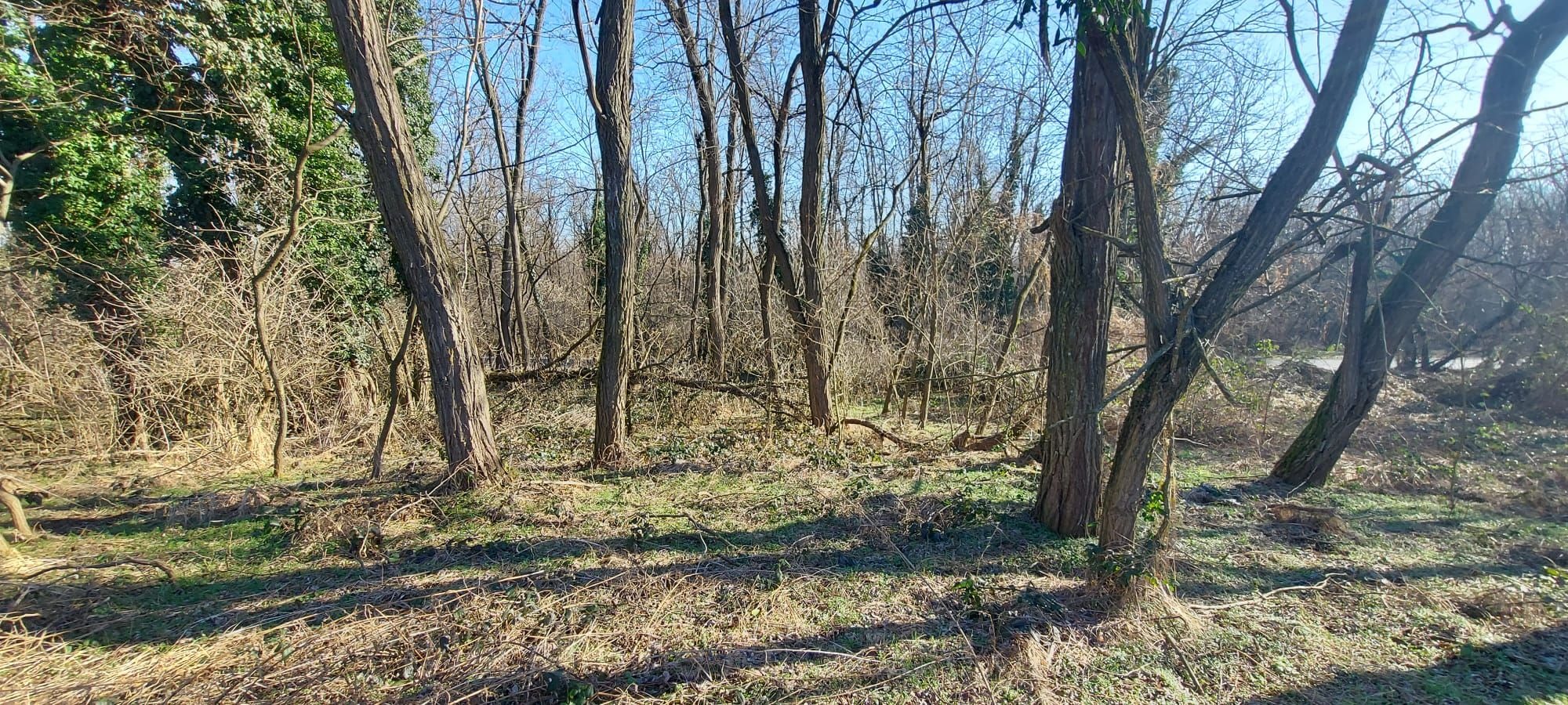 Property thumbnail 3