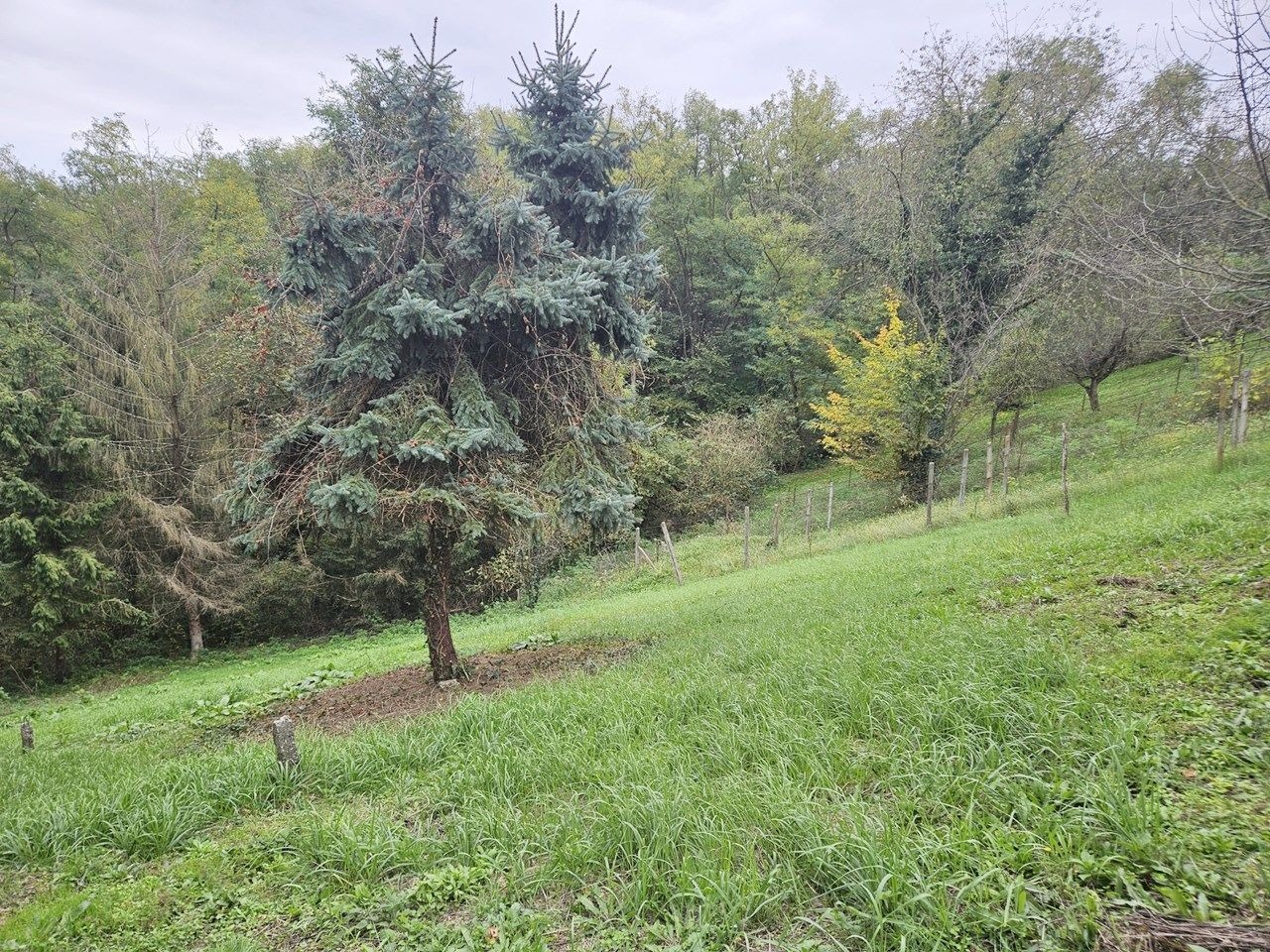 Property thumbnail 4