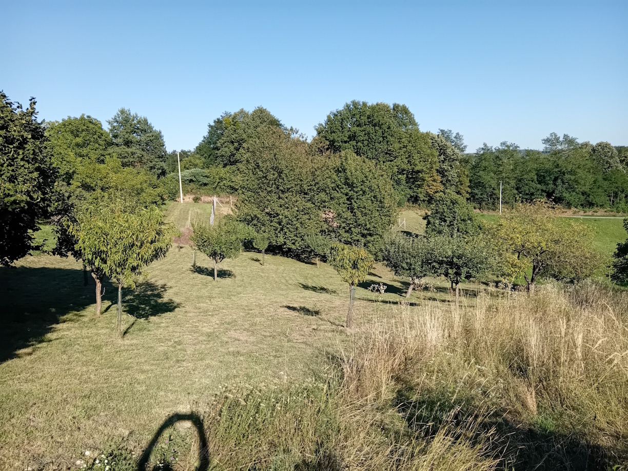 Property thumbnail 3