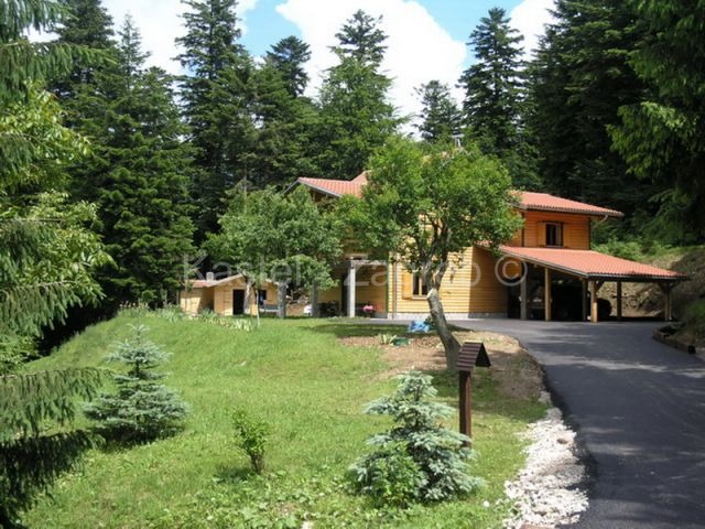 Property thumbnail 4