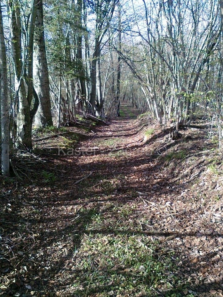 Property thumbnail 4