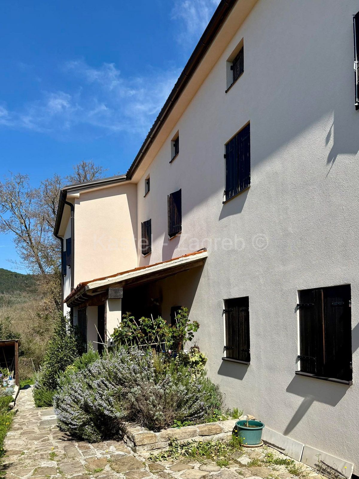 More photos