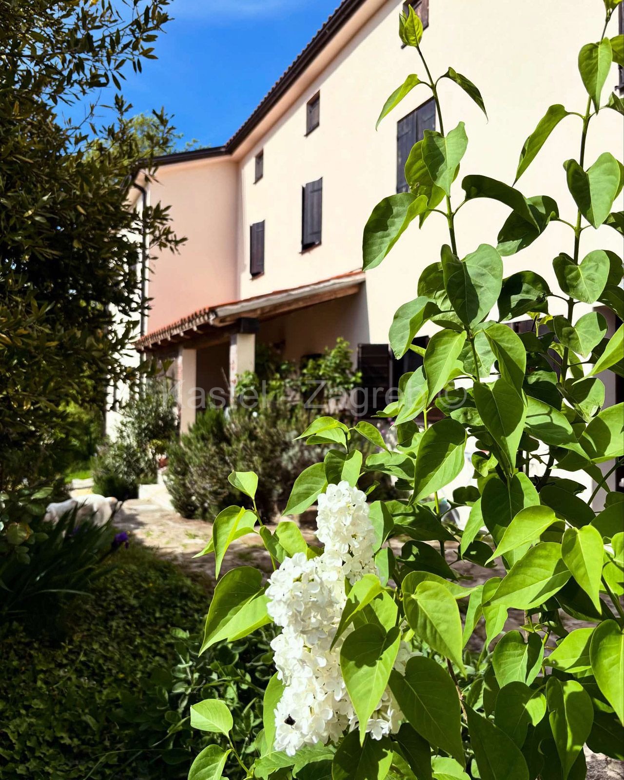 Property thumbnail 4