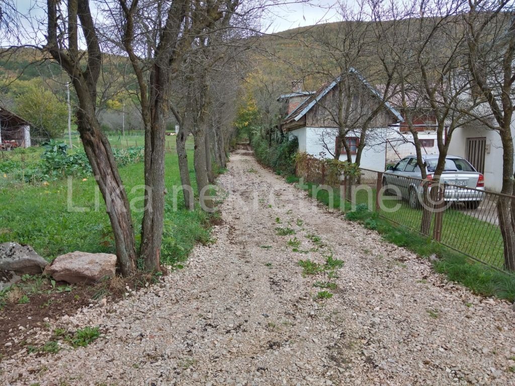 More photos