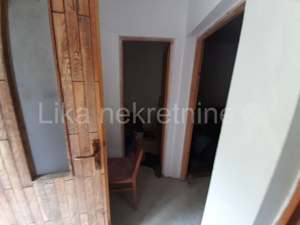 More photos