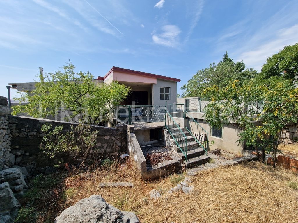 More photos