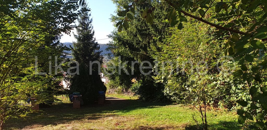 More photos