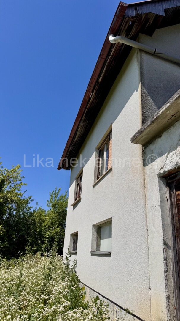 More photos
