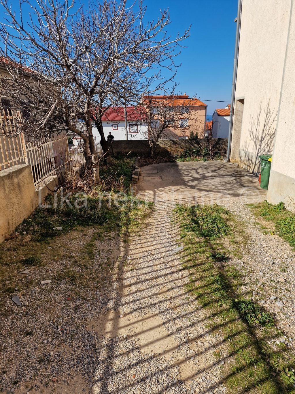More photos