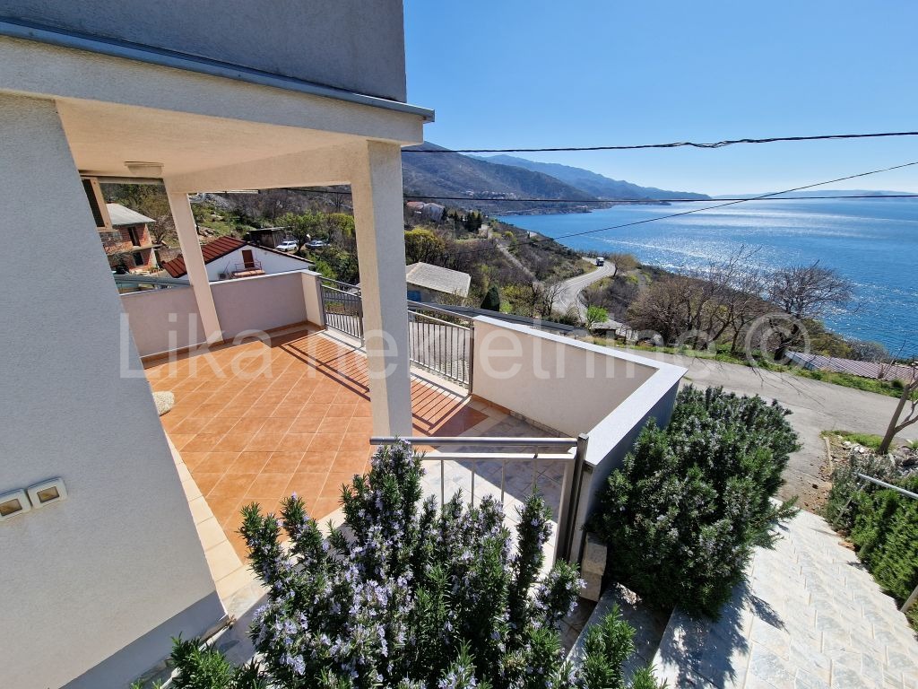 More photos