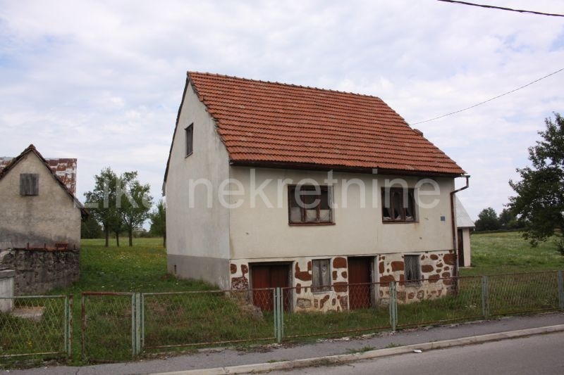 More photos