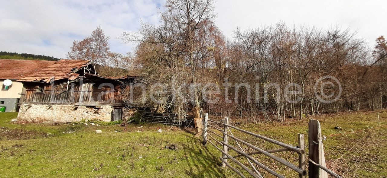 Property thumbnail 3