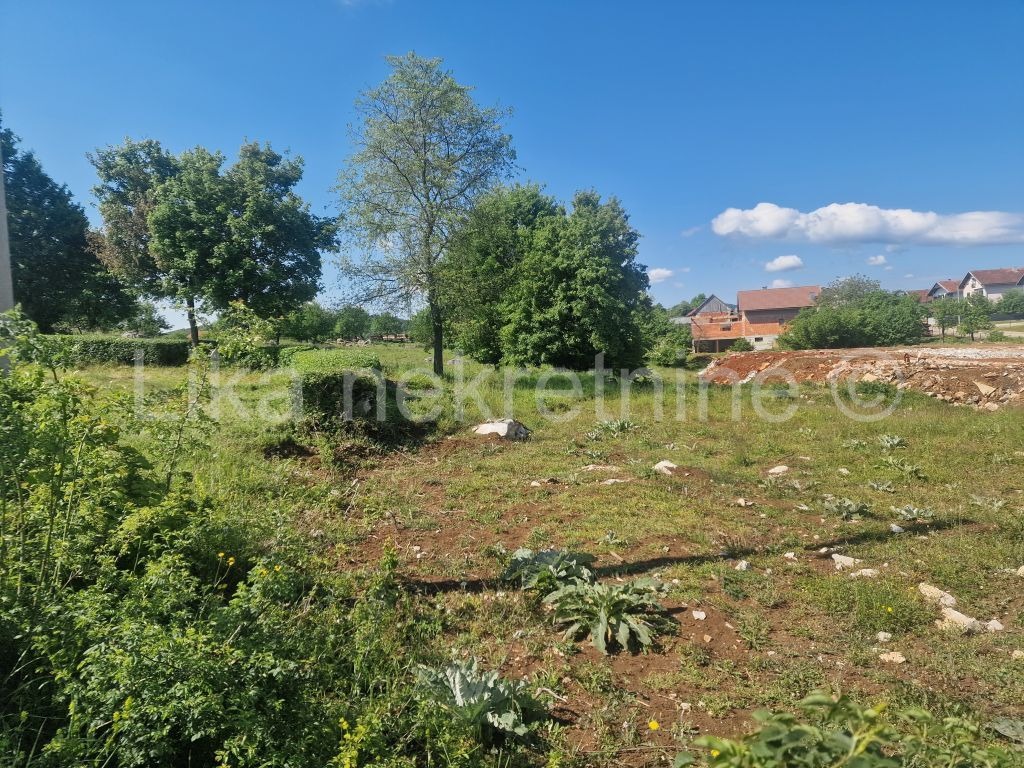 More photos
