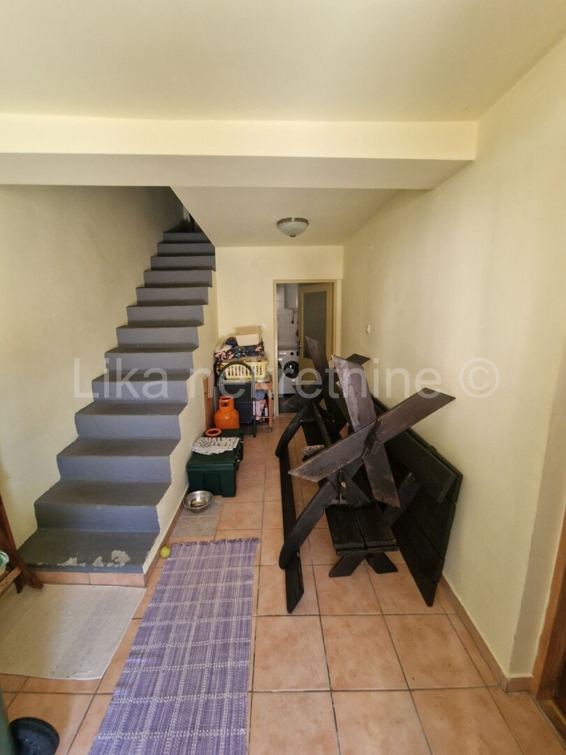 More photos