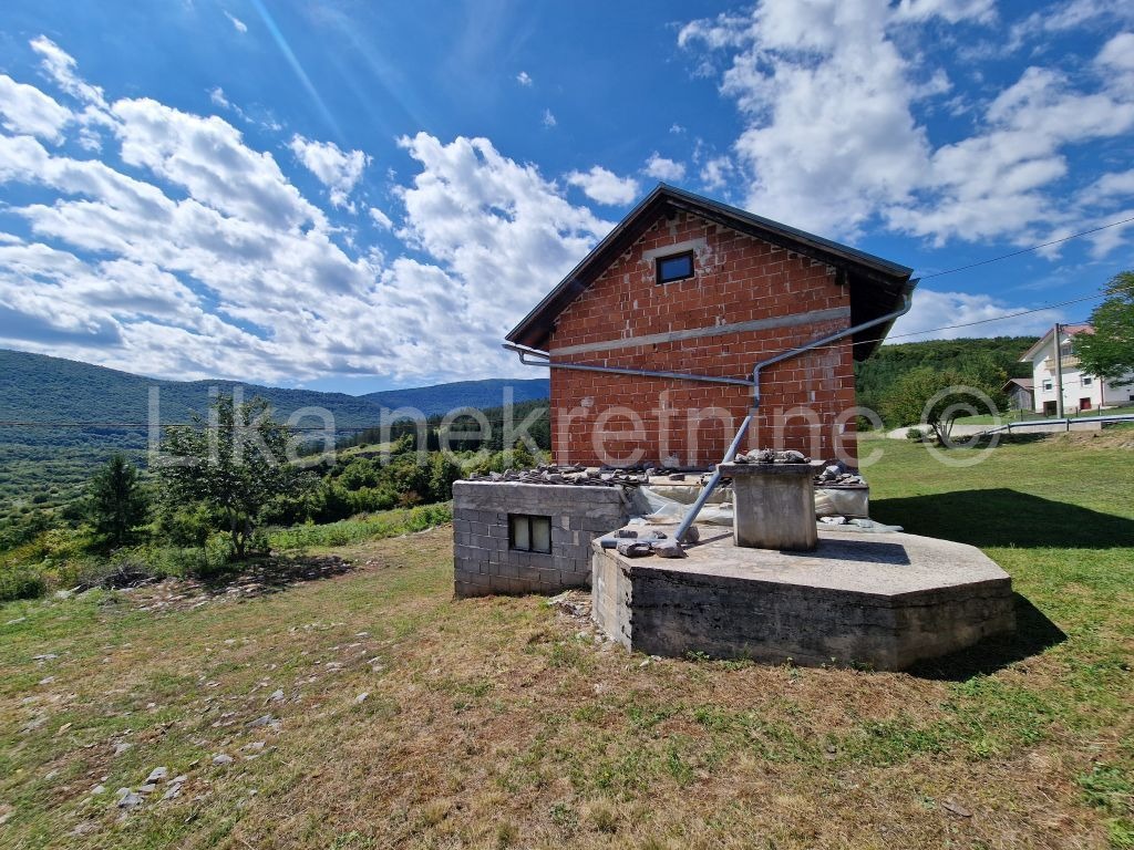 More photos
