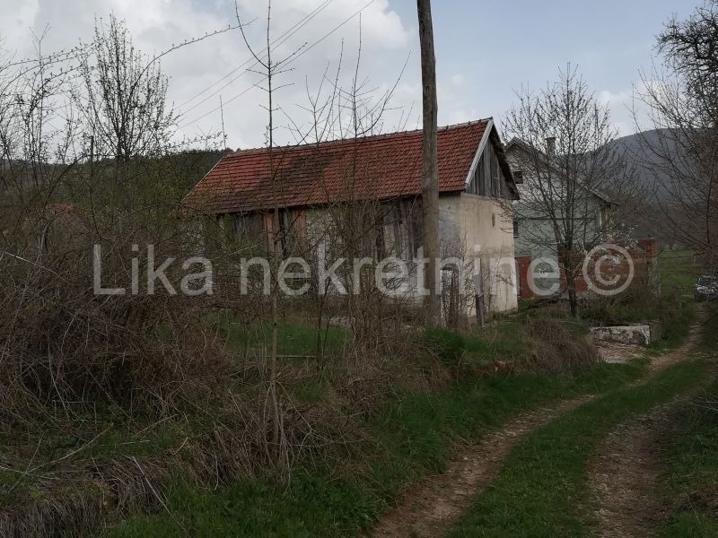 More photos