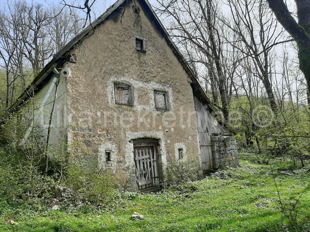 Property thumbnail 3
